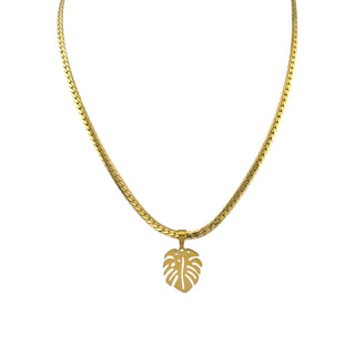Monstera Gold