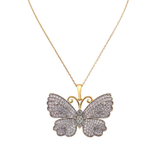 Aura Butterfly