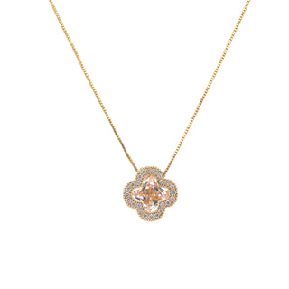 Clavel Rose